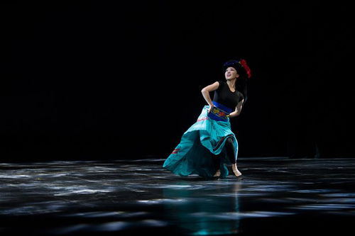 云南二十五个少数民族舞蹈系列教材成果展示会在昆明举行 新华网云南频道