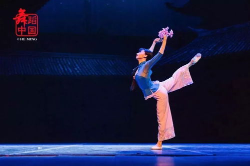 第十二届全国舞蹈展演 四川歌舞剧院有限责任公司 舞剧 家 精彩剧照